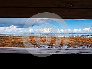 Panoramic view from birdwatch tower over marshes on artificial island of Marker Wadden, Markermeer, Netherlands photo