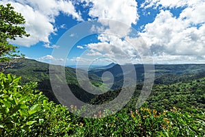 Panoramic view of Black River Gorges National Park, Gorges Viewpoint in Mauritius.