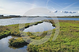 Panoramic view of Bolsa Chica Ecological Reserve in Huntington Beach California photo