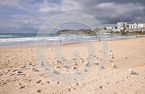 Panoramic view of Bondi Beach in summer cloudy day