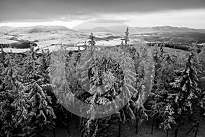 Panoramic view from Borowa Gora view point during winter time. Frosty structure, glazed, icy branches.