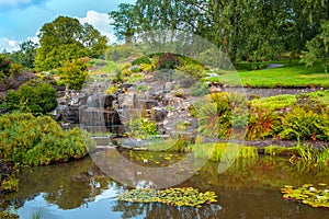 Panoramic view of Botanical Garden - Botanisk hage - floral exposition within Natural History Museum, Naturhistorisk museet in