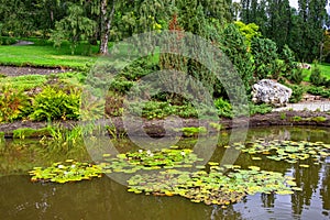 Panoramic view of Botanical Garden - Botanisk hage - floral exposition within Natural History Museum, Naturhistorisk museet in