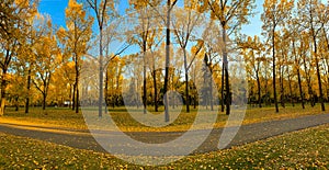 Panoramic view of Bowness park in the city of Calgary, Canada