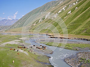 Panoramic view of breathtaking Truso valley in Kazbegi region, Caucasus mountains, Georgia.