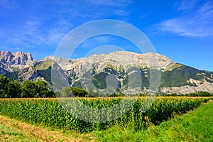 Panoramic view on Breche de Faraut mountain range in French Prealps in summer