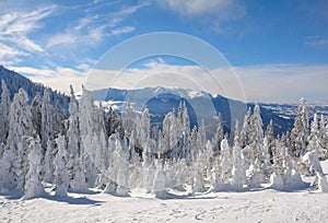 Panoramic view of Bucegi Mountains