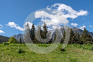 Panoramic view - Bucegi Mountains, Southern Carpathians, Romania