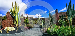 Panoramic view of Cactus garden in Lanzarote