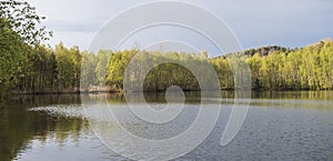 Panoramic view on calm water of forest lake, fish pond Kunraticky rybnik with birch and spruce trees growing along the
