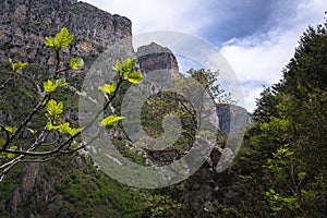 Panoramic view of canyon. Vikos Gorge is a gorge in the Pindus Mountains of northern Greece