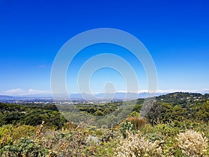 Panoramic view of Cape Town from Kirstenbosch National Botanical Garden