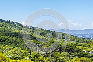 Panoramic view of Cape Town from Kirstenbosch National Botanical Garden