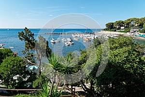 Panoramic view of Castiglioncello pretty seaside village along the coast of the Etruscans in Tuscany , Italy