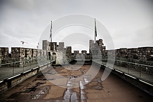 Panoramic view from a castle