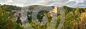 Panoramic View of the castle and Medieval Village of Esparron du Verdon in Provence in the south of France at sunset