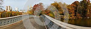 Panoramic view of Central Park autumn trees from B