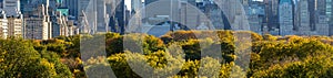 Panoramic view of Central Park in fall with Midtown Manhattan skyscrapers. New Yorik City
