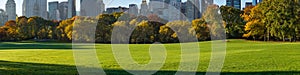 Panoramic view of Central Park Sheep Meadow in early morning sunlight. Manhattan, New York City