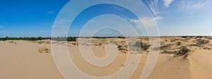 A panoramic view of the central part of the Oleshkiv sands - the Ukrainian desert near the city of Kherson. Ukraine