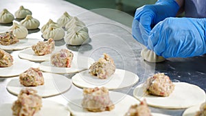 Panoramic view. Chief cook making meat dumplings. Close up. food video. Hands in blue gloves. Preparing dumplings on