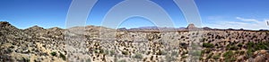 Panoramic view of the Chihuahuan Desert in Big Bend National Park, USA