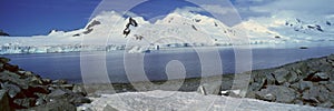 Panoramic view of Chinstrap penguin (Pygoscelis antarctica) among rock formations on Half Moon Island, Bransfield Strait