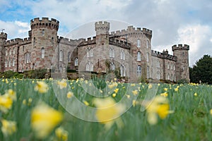 Panoramic view of Cholmondeley Castle and field of the daffodils