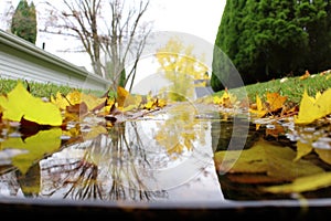 panoramic view of a clean, leaf-free gutter
