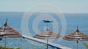 Panoramic view of the coast exotic landscape for relaxation, beach with palm trees, umbrellas and deck chairs and a long pantone