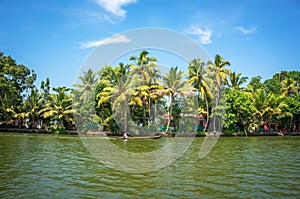 Panoramic view with Coconut trees and fisherman house, backwaters landscape of Alleppey