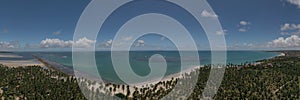 panoramic view of coconut trees at Praia dos Carneiros, barrier reef and sea