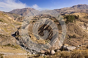 Panoramic view of Colca Canyon, in Peru