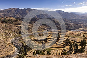 Panoramic view of Colca Canyon, in Peru