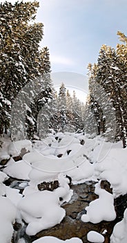 Panoramic view of Cold creek, High Tatras Slovakia