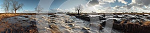 Panoramic View of a Flooded Field with Bare Trees and Flowing Water photo