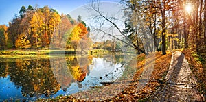 Panoramic view of colorful autumn trees and a path along the pond in Tsaritsyno Park in Moscow