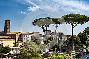 Panoramic view the Colosseum and Roman Forum from Palantine hill, Rome, Italy