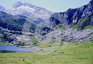 Panoramic view of the Covadonga lakes photo