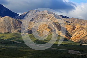 Panoramic view of Denali National Park