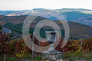 Panoramic view on Douro river valley and colorful hilly stair step terraced vineyards in autumn, wine making industry in Portugal