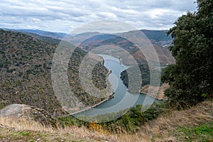 Panoramic view on Douro river valley and colorful hilly stair step terraced vineyards in autumn, wine making industry in Portugal