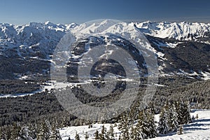Panoramic view down snow covered valley in alpine mountain range with conifer pine trees