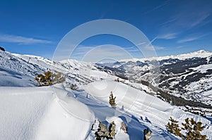 Panoramic view down snow covered valley in alpine mountain range with conifer pine trees