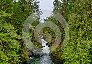 Panoramic view of the Englishman River Falls in Vancouver Island