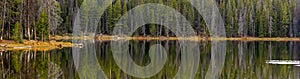 Panoramic view of ever green trees by the lake with perfect reflections at Mirror lake in Uinta Wasatch cache national