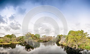 Panoramic view of Everglades swamps, Florida