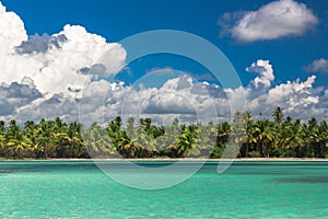 Panoramic view of Exotic Palm trees and lagoon on the tropical Island beach