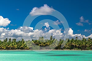 Panoramic view of Exotic Palm trees and lagoon on the tropical Island beach