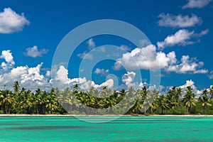 Panoramic view of Exotic Palm trees and lagoon on the tropical Island beach